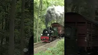 Kleine Lok mit gro&szlig;en Wagen #steamtrain