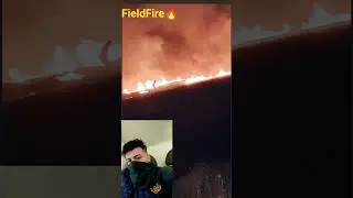 open field fire in delhi #fire #fieldfire #delhi #delhifire #delhifireservice #dfs #viralshorts