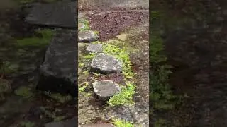 &ldquo;Welcome to Ravnkilde in the heart of Denmark&rsquo;s Rebild Hills!&rdquo;