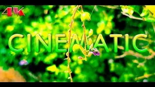 4K Epic Cinematic Film by Samsung Galaxy F62 | Cinematic Film | Samsung F62