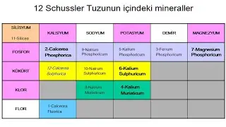 Homeopat Eczacı &Ouml;zlem Tığlı Yılmaz ile 2. Dr. Sch&uuml;ssler r&ouml;portajı