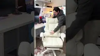 The Dowinx Big & Tall Office / Gaming Chair