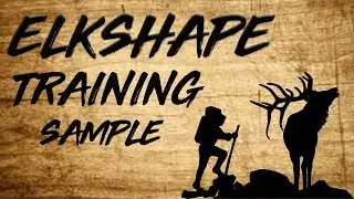ElkShape Training Sample