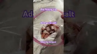 Pro fishing tip, diy catfish bait #fishing #bassfishing #catfish #catfishbait