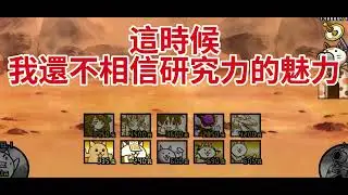 貓戰！
