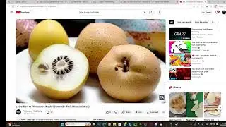 eating a nashie pear for the first time with Larry
