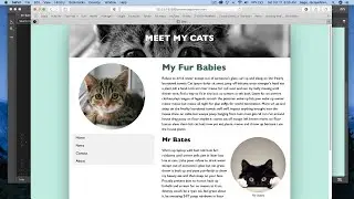 Dreamweaver CC 2020 - Centering a website