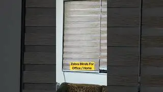 Best Blinds For Home / office 2023 | Zebra Blinds For office 2023 | Window Covering Options | Blinds