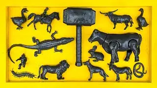 membersihkan mainan hewan, sapi, bebek, angsa, ayam, gajah, singa, unta, buaya, zebra, kangguru.
