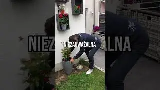 Najlepsza Możliwa Skrytka! 🍻