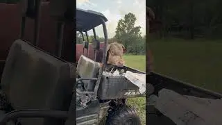 Я почти уверен, что Руфус набросился на меня через мешок с кормом #rufusthebull