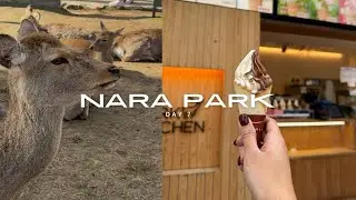 Day 7: Nara Park, Shopping, New Year's Eve