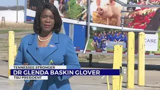 Goat gave birth in tornado rubble in Nashville