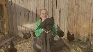 CFF 2026 Laying Hen Market Video