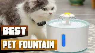 Best Pet Fountain In 2026- Top 10 Pet Fountains Review