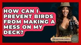 How Can I Prevent Birds From Making A Mess On My Deck? - Bird Watching Diaries