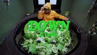 Z. LEWIS - DOWN PROD. DON DIESTRO (OFFICIAL MUSIC VIDEO)
