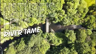 River Tame Amazing Views Natures Lens | Drone