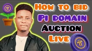 🚨 **Pi Domain Auction LIVE! Start Bidding NOW or Miss Out Forever!** 🚨