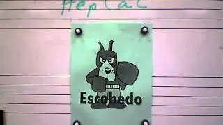 Hep Cat Jive.MOV