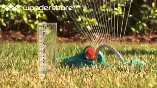 Home Water Saving Tips Garden