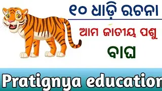 10 Lines On Tiger in Odia / Tiger Essay in Odia / Odia Rachana
