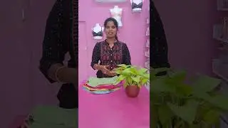 Best for Sportz,Tight & Bodycon Outfits #ytshorts #youtubeshorts #trendingshorts #foryou