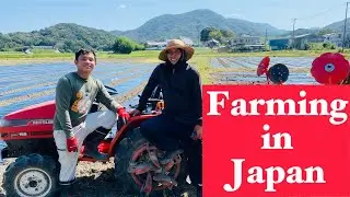 Our Organic Garlic Production! | Part 1 | deltaTV