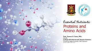 Proteins and Amino Acids