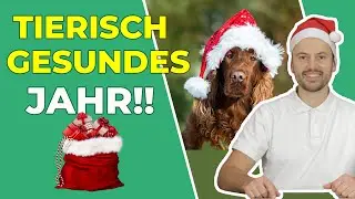 Tierisch Gesundes Jahr!! (inkl. Gewinnspiel)