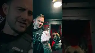 K9 Handler Answering YOUR Questions
