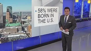 Somali population statistics in Minnesota