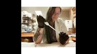 Jobs in STEM| Research Technician/Assistant