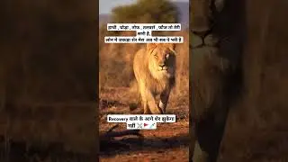 #sher #highlights #shermemes #sherlife #flowers #mydoglionn #loan #finance#follow #foryou