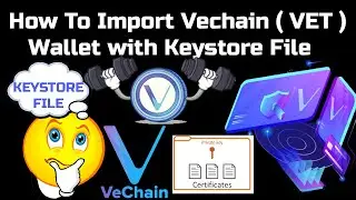 How To Import Vechain ( VET ) Wallet with Keystore File | Crypto Tutorial