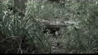 Breach: 2