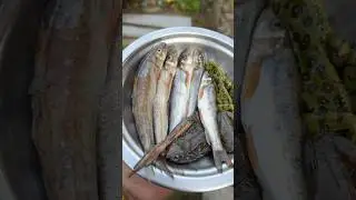 Asala fish and frog from syaulibang village🐟🐸🇳🇵#syaulibang #pyuthan #nepal 🇳🇵#nepalivillage