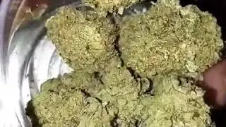 Iced Grapefruit 🍊 from MyOnlineDrugDealer.com