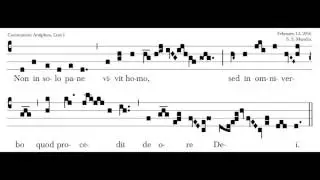 Non in Solo Pane, Communion Antiphon, by S. S. Mundra