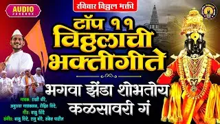 विठ्ठलाची गाणी : टॉप ११ विठ्ठलाची भक्तीगीते | भगवा झेंडा शोभतीय कळसावरी गं - Vitthal Songs