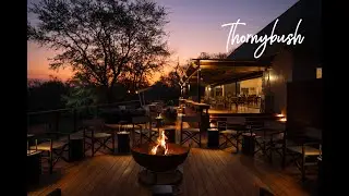 🐆 Luxury Safari at Simbambili Game Lodge - Sabi Sands 5-Star Experience (Showreel) 🇿🇦