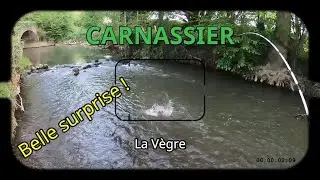 Truite à la cuillère sur la Vègre