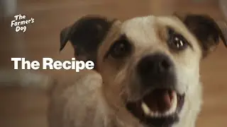 The Farmer's Dog Commercial: The Recipe