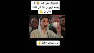 Maryam Nawaz Sharif Fan PML (N) Real Supporters 36