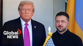 Ukraine must choose dignity or US support under peace proposal: Zelenskyy