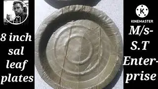 8 inch sal leaf plates manufacturing