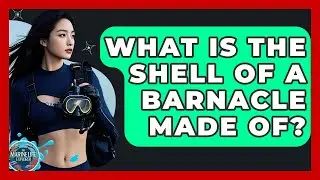What Is The Shell Of A Barnacle Made Of? - The Marine Life Explorer