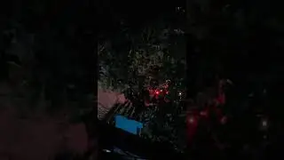 Night curfew Delhi tilaknagar lockdownDelhi #lockdowndelhi #devtushamar police at night #delhipolice
