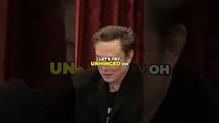 Elon Musk Tries 