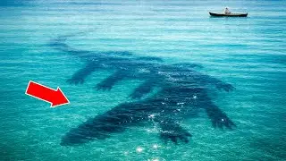 Top 10 Creepiest Sea Monster Sightings &mdash; Real Encounters!!